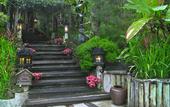 Туры в отель Fig Tree Hill Resort