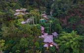 Туры в отель Fig Tree Hill Resort