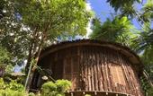 Туры в отель Fig Tree Hill Resort
