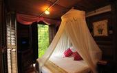 Туры в отель Fig Tree Hill Resort