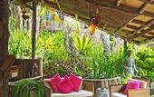 Туры в отель Fig Tree Hill Resort