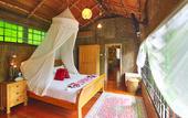Туры в отель Fig Tree Hill Resort