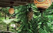 Туры в отель Fig Tree Hill Resort