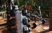 Туры в отель Fig Tree Hill Resort