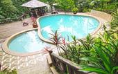 Туры в отель Fig Tree Hill Resort