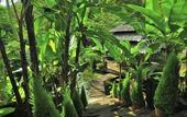 Туры в отель Fig Tree Hill Resort