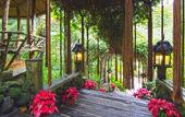 Туры в отель Fig Tree Hill Resort