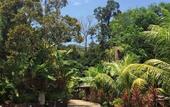 Туры в отель Fig Tree Hill Resort