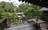 Туры в отель Fig Tree Hill Resort