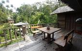 Туры в отель Fig Tree Hill Resort