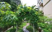 Туры в отель Lanvin Hotel