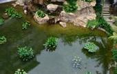 Туры в отель Four Points by Sheraton Johor Bahru