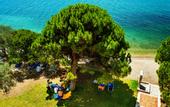 Туры в отель Negroponte Resort Eretria