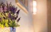 Туры в отель Lavender Inn Nusa Bestari