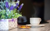 Туры в отель Lavender Inn Nusa Bestari