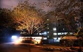 Туры в отель O'Boutique Suites Hotel