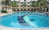 Туры в отель Rompin Beach Resorts
