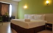 Туры в отель Temasek Hotel