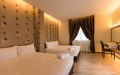Туры в отель D Elegance Hotel