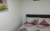Туры в отель Backpacker's Stay Services
