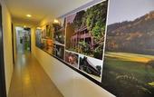 Туры в отель Backpacker's Stay Services