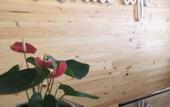 Туры в отель White Loft Hotel