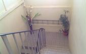 Туры в отель Hotel Morning Glory