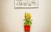 Туры в отель M+ Boutique Hotel
