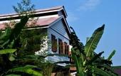Туры в отель Audi GuestHouse