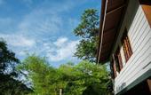 Туры в отель Audi GuestHouse