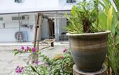 Туры в отель DesaTebrau NewStar Homestay - Wedding Bridal House