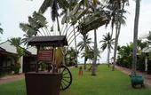 Туры в отель Shah's Beach Resort