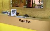 Туры в отель Golden Night Hotel Sunway