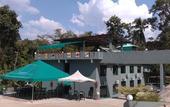 Туры в отель Green Peace Sungai Lembing