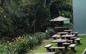 Туры в отель Green Peace Sungai Lembing