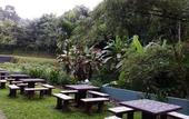 Туры в отель Green Peace Sungai Lembing