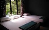 Туры в отель Green Peace Sungai Lembing