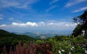 Туры в отель Kokol Haven Resort