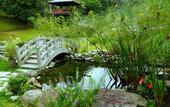Туры в отель Kokol Haven Resort