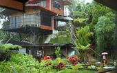 Туры в отель Kokol Haven Resort