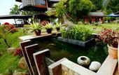 Туры в отель Kokol Haven Resort
