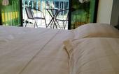 Туры в отель Wind Valley Farmstay