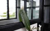 Туры в отель The Marian Boutique Lodging House