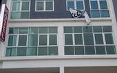 Туры в отель De Ideal Hotel