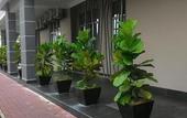 Туры в отель Iris Hotel