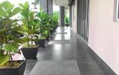 Туры в отель Iris Hotel