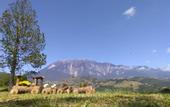 Туры в отель Jabez Kinabalu Inn