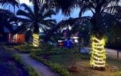 Туры в отель The Wizard of Oz Resort