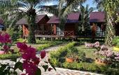Туры в отель The Wizard of Oz Resort