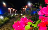 Туры в отель The Wizard of Oz Resort